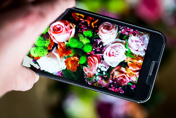 Close up color image depicting a mobile phone device (a smartphone) in camera mode. The phone's camera and LCD screen is focused on a colorful, fresh bouquet of flowers. In the background of the image, beyond the cell phone, the flowers are blurred out of focus, resembling blurred balls of vibrant color. Room for copy space.