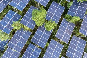太陽光パネル_ソーラー_Aerial View Of Solar Panels On Tree